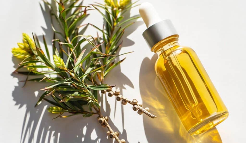 Tea Tree Olie