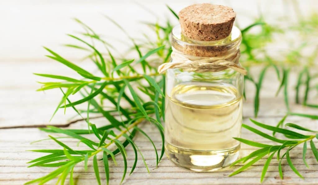 Tea Tree Olie