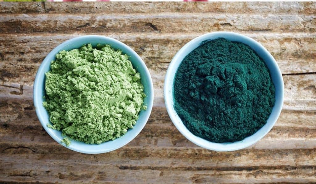 Blue Spirulina vs. Chlorella Spirulina