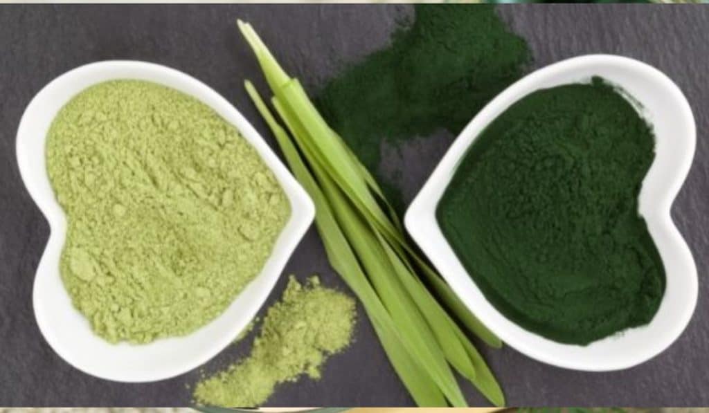 Blue Spirulina vs. Chlorella Spirulina