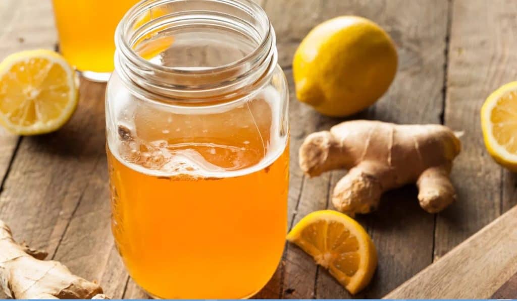 Kombucha Gezondheid