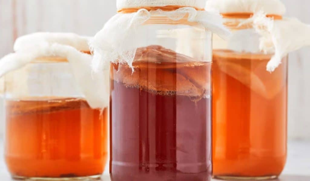 Kombucha