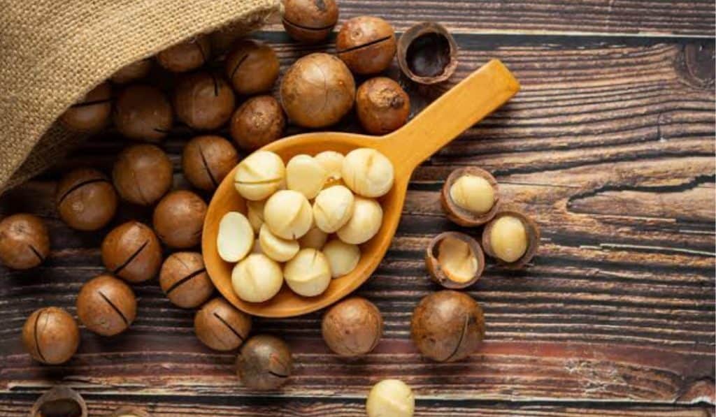 Macadamia noten voedingswaarde en gezondheid