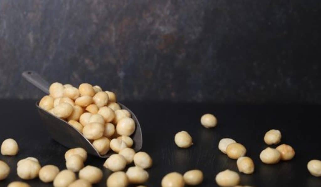 Macadamia noten