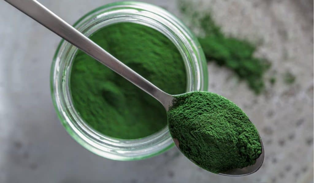 Chlorofyl supplement