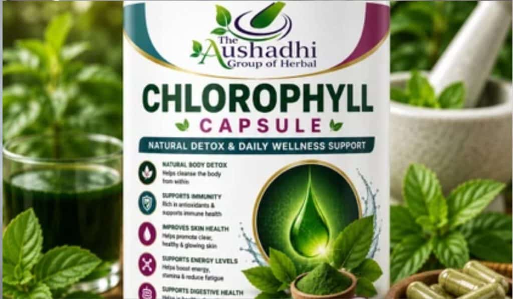 Chlorofyl supplement: alles over chlorofyl poeder, fycocyanine en voedingsstoffen