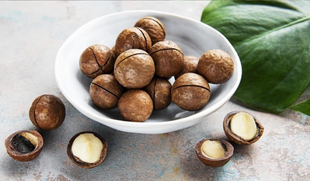 Macadamia Noten