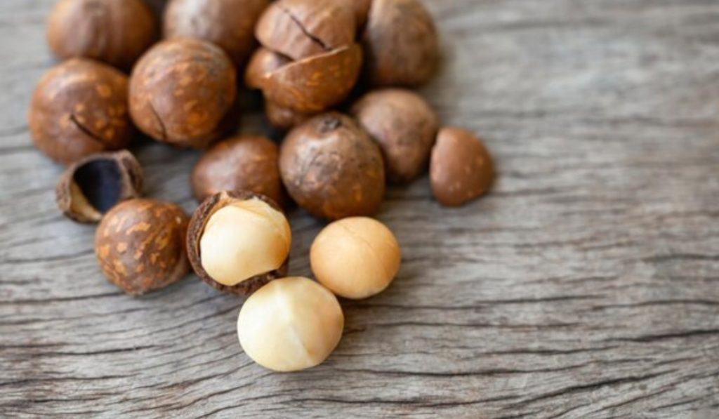 Macadamia Noten