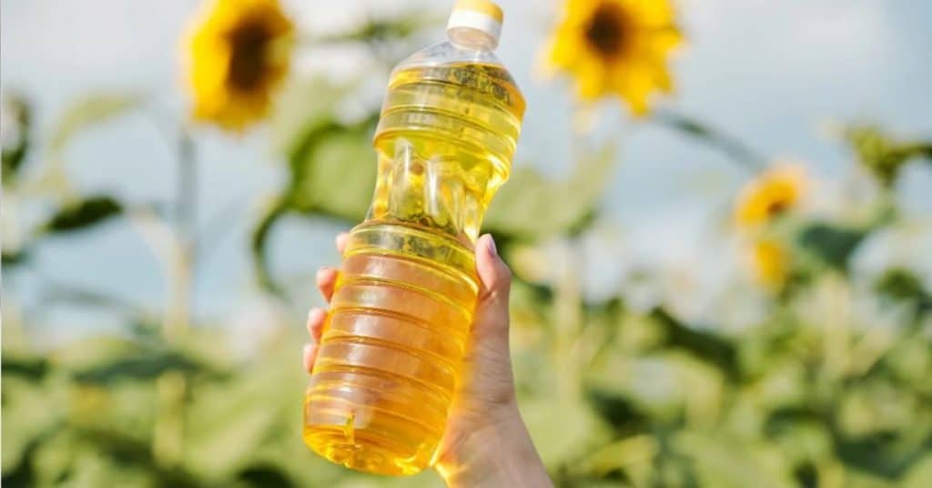 Zonnebloemolie: Wat je moet weten over deze veelzijdige olie