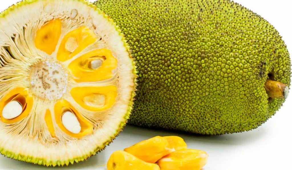 Jackfruit