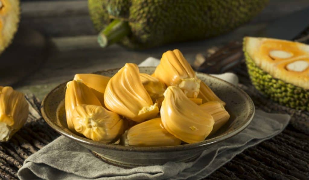 Jackfruit