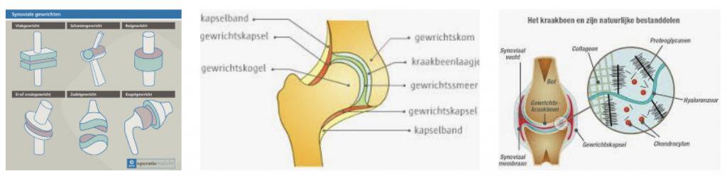 Gewrichten problemen verhelpen?